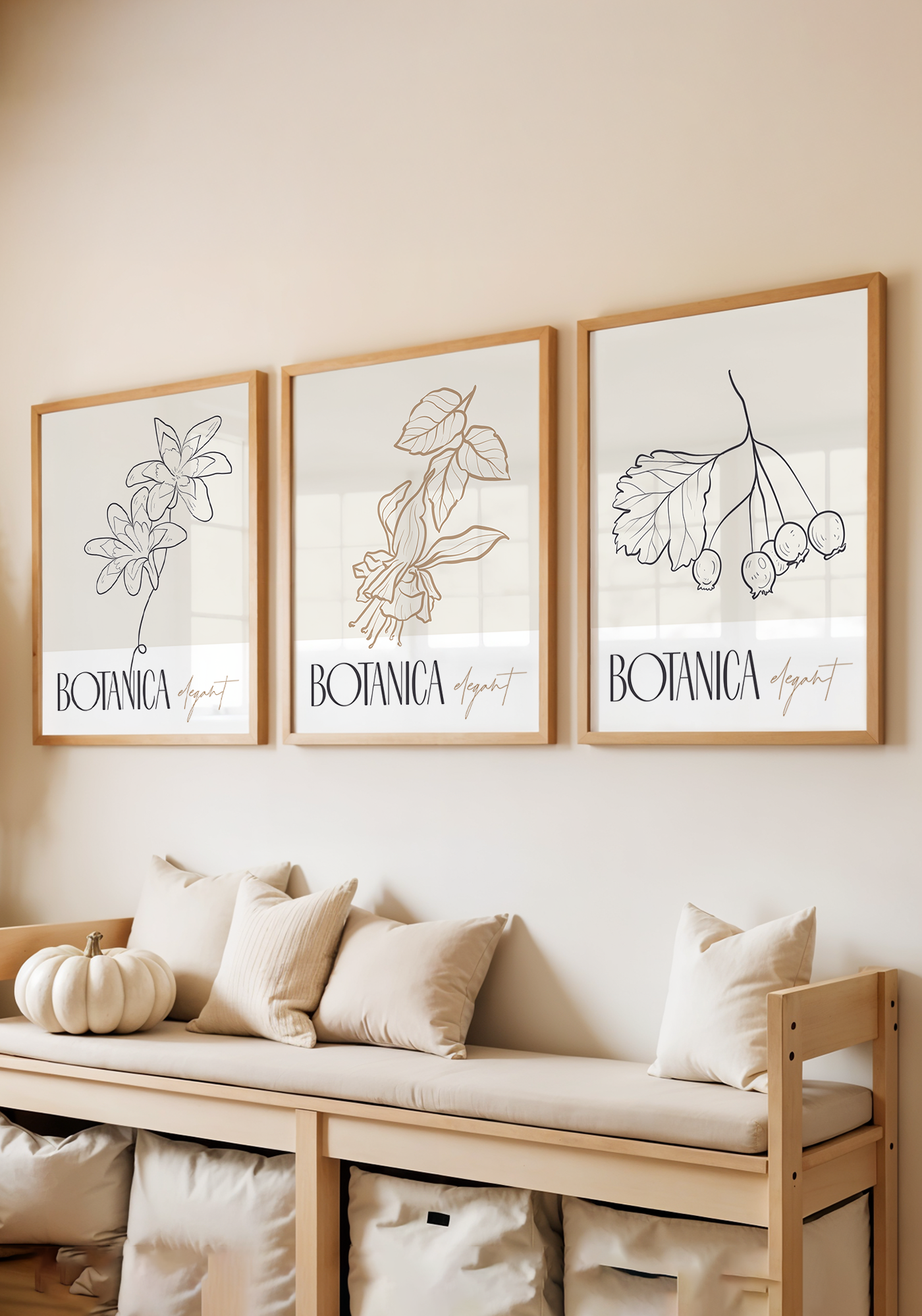 Zestaw Botanica