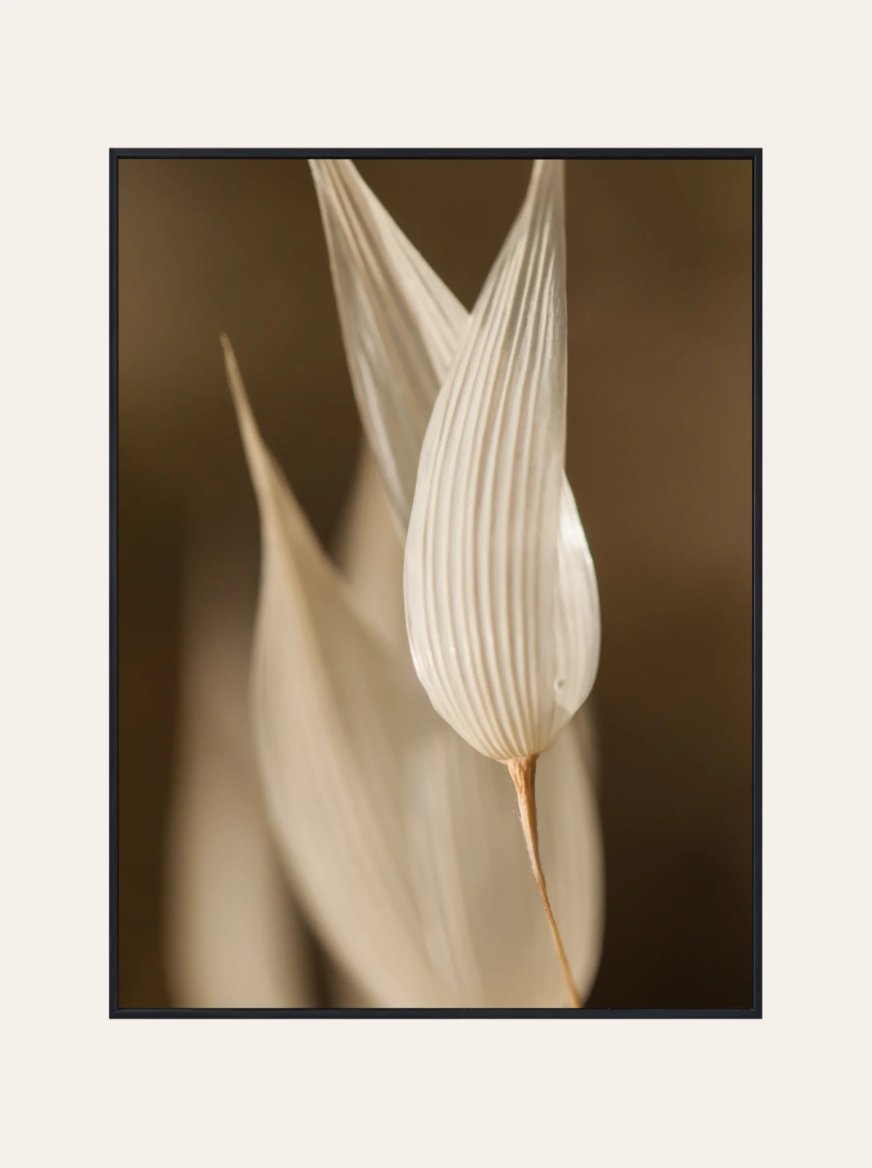 Plakat Biały Listek