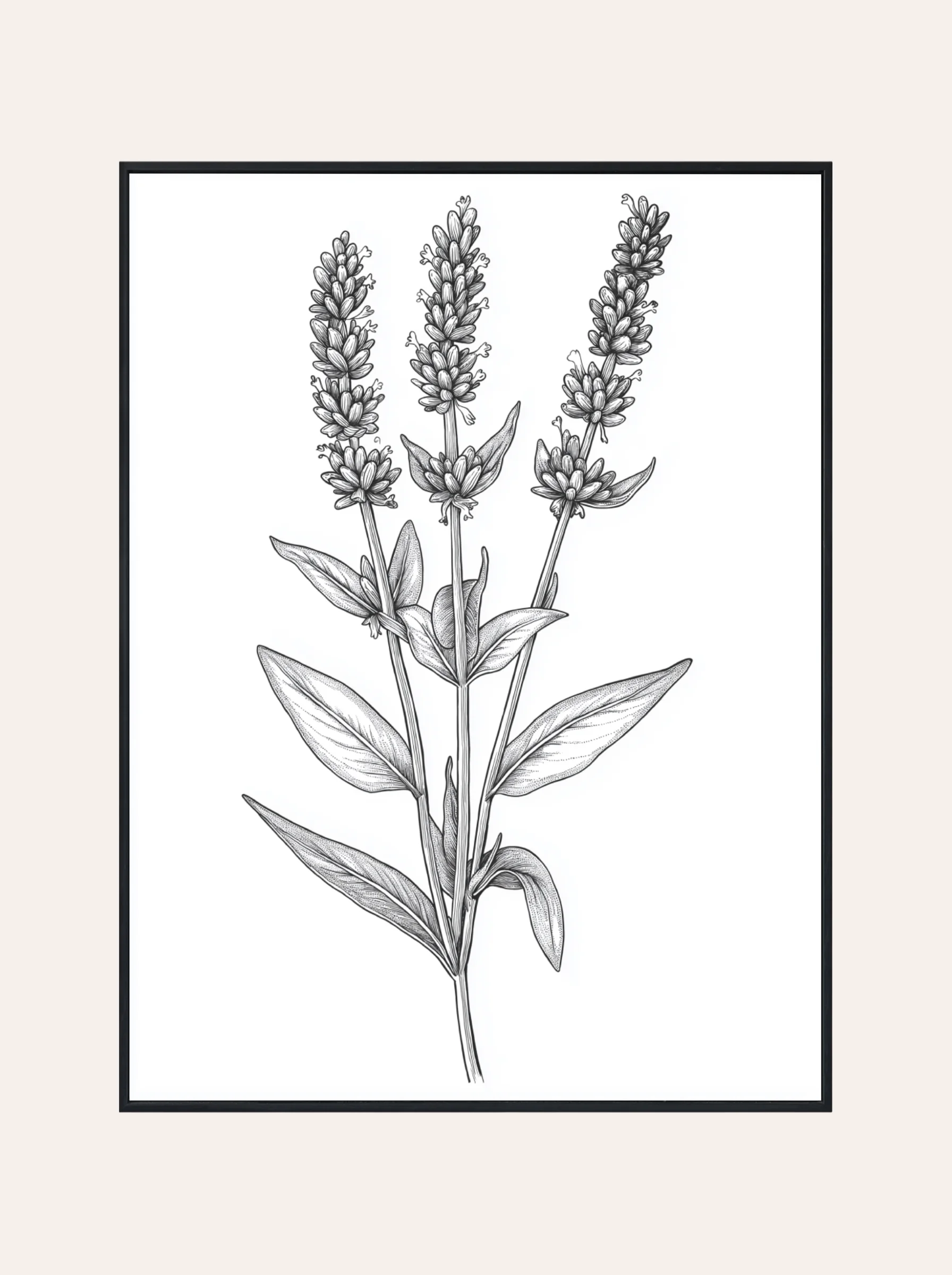 Plakat Botaniczna Ilustracja