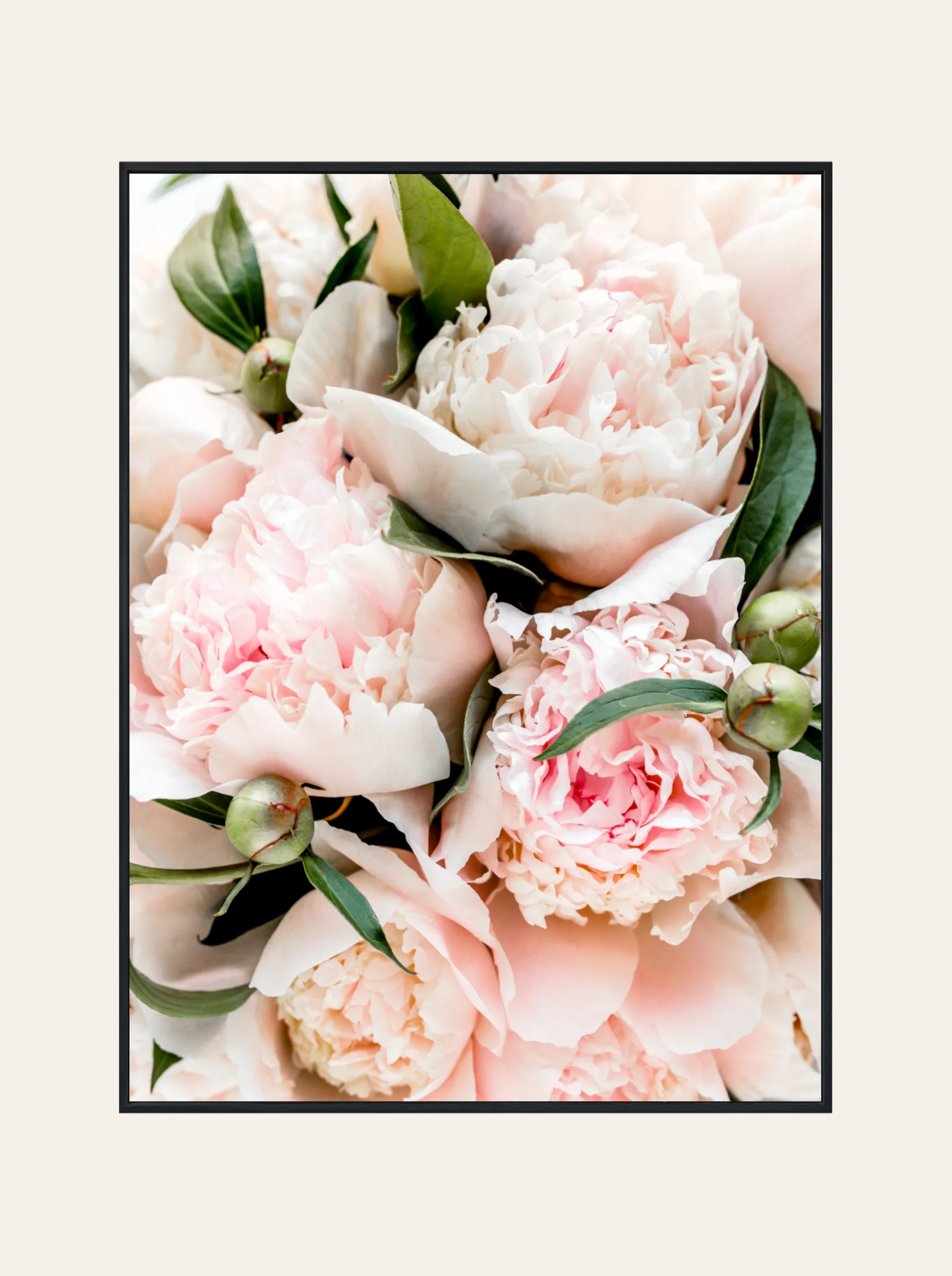 Plakat Bukiet Piwoni