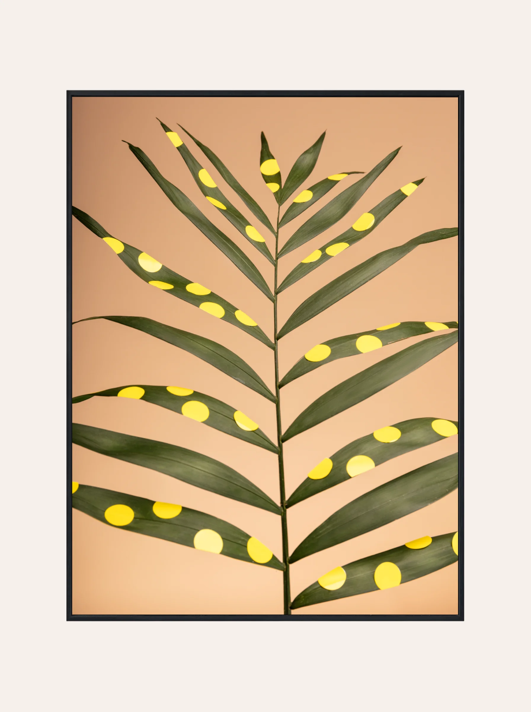 Plakat Egzotyczny Kwiat