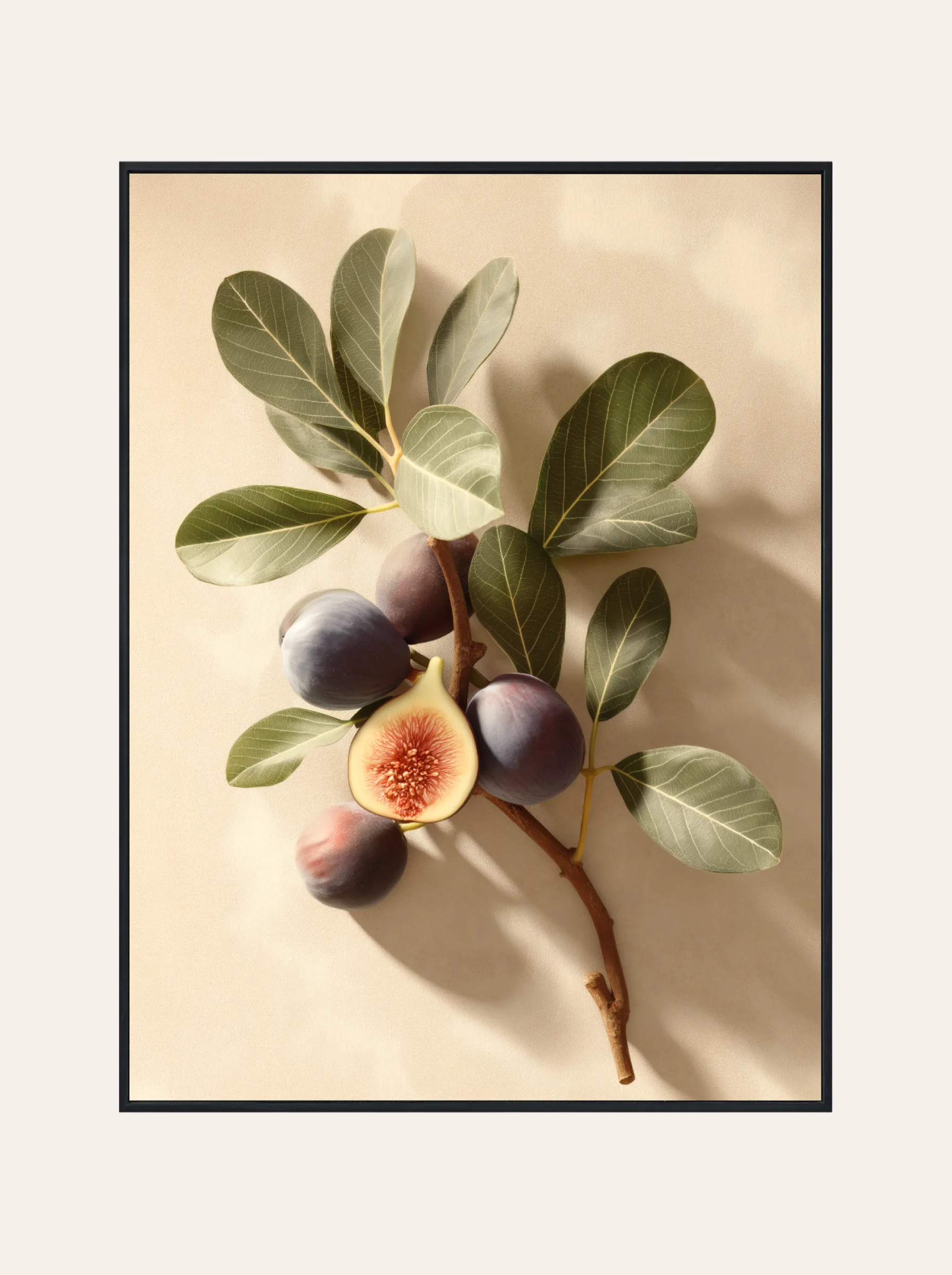 Plakat Figi z Południa