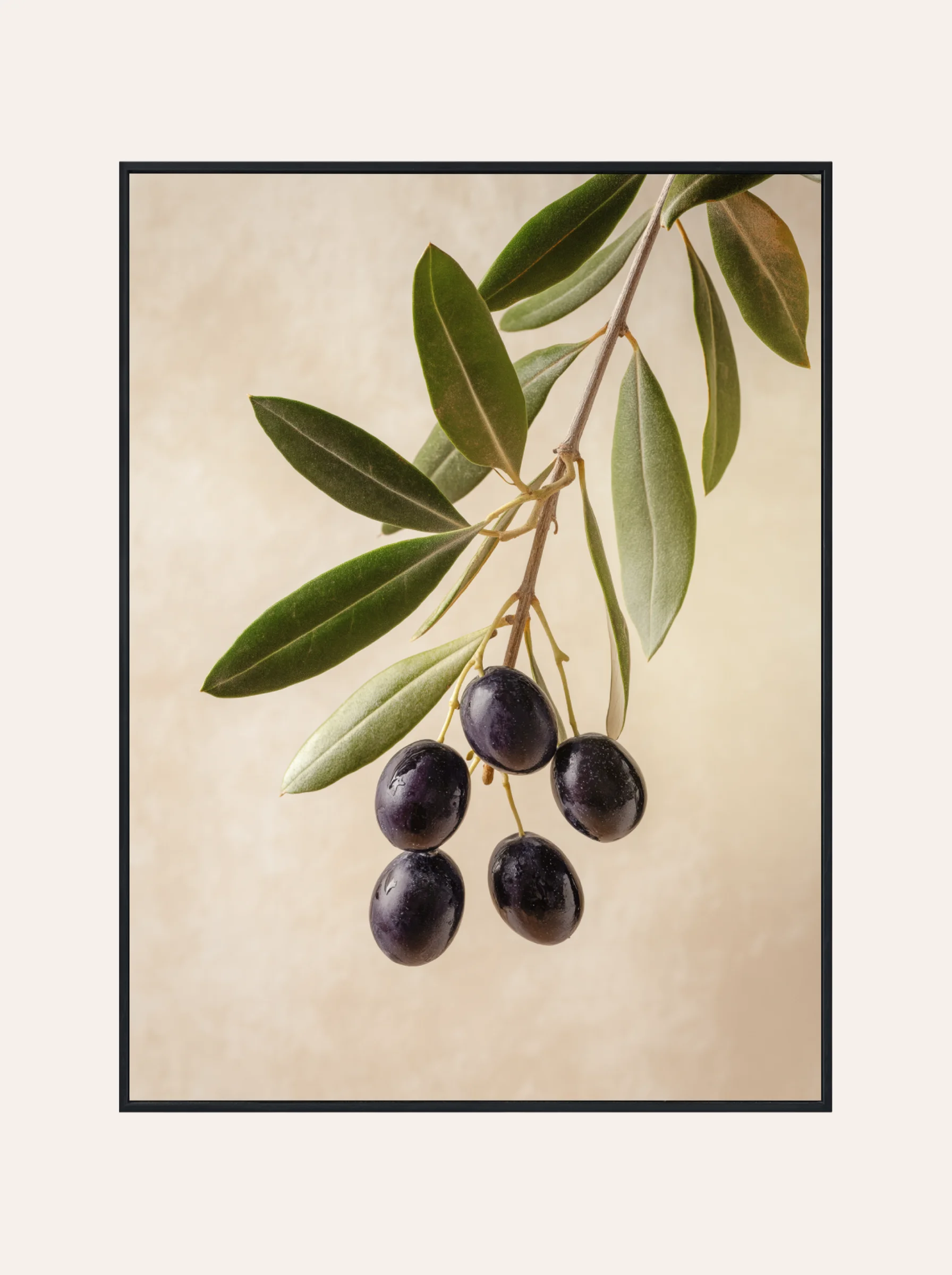 Plakat Gałązka Oliwna Nr. 1