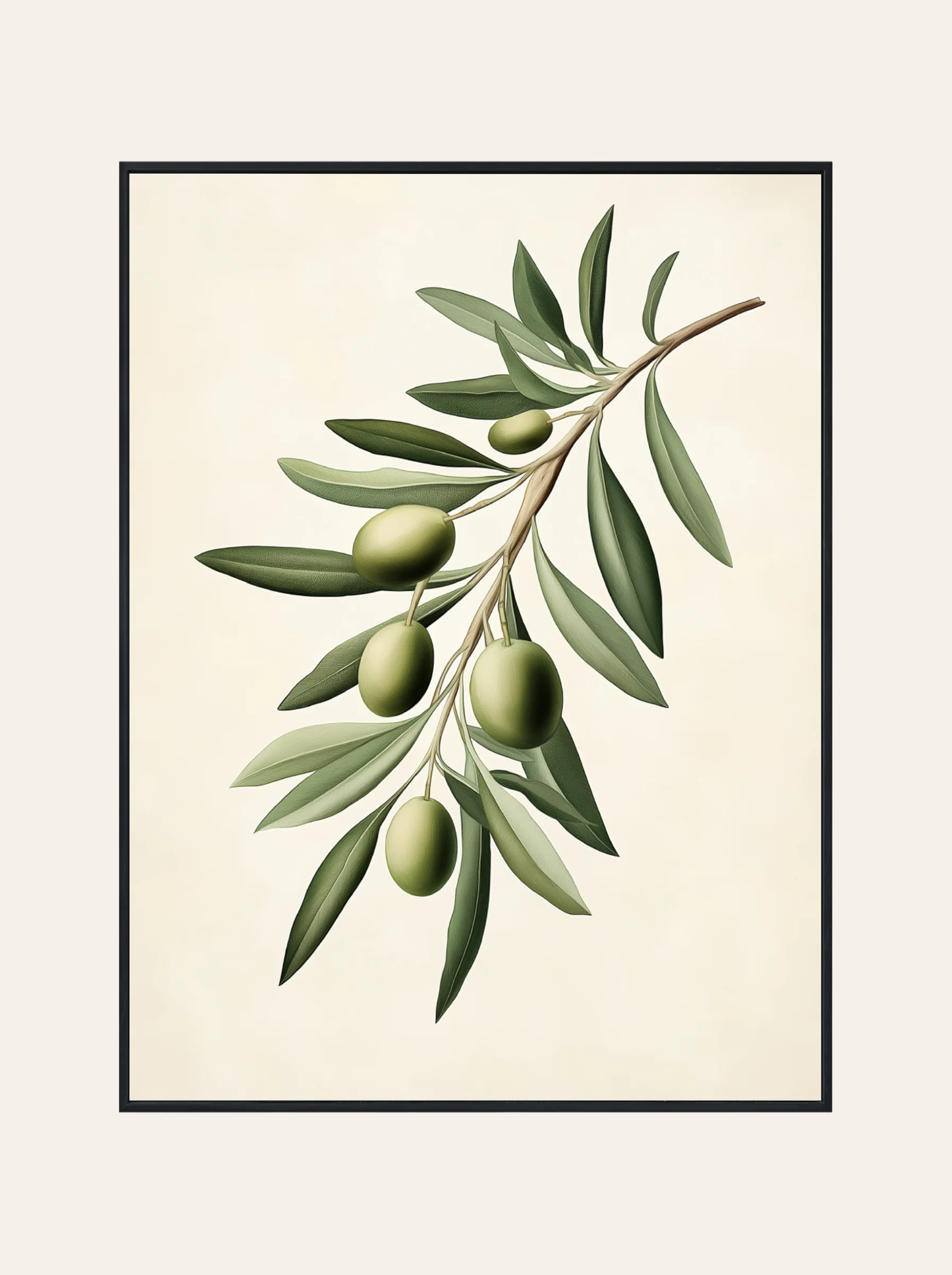 Plakat Gałązka Oliwna