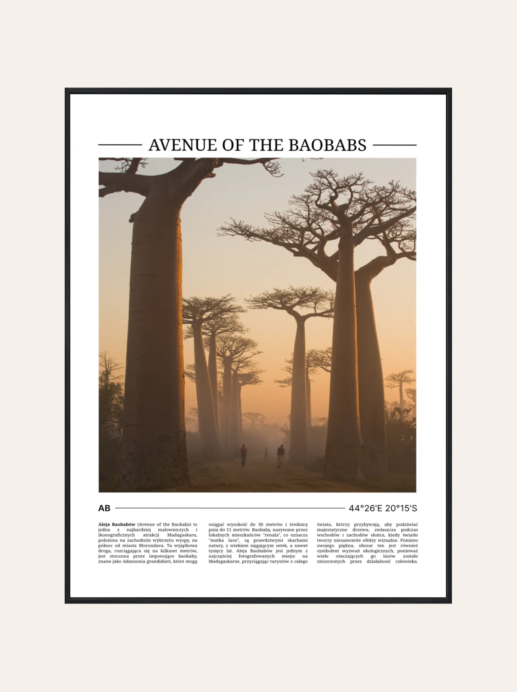 Plakat Kolor Baobab