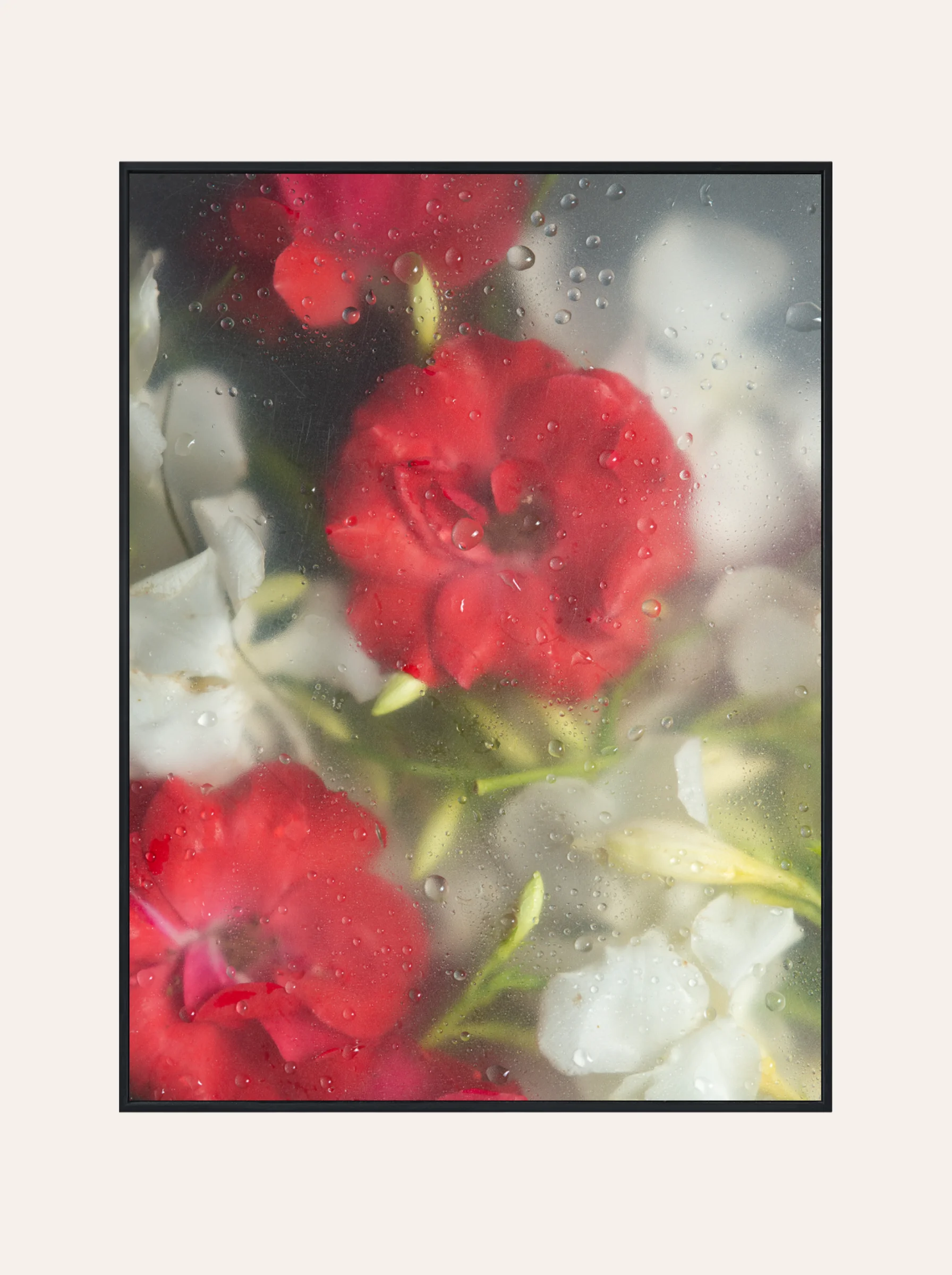 Plakat Kwiaty za Szybą Nr. 1