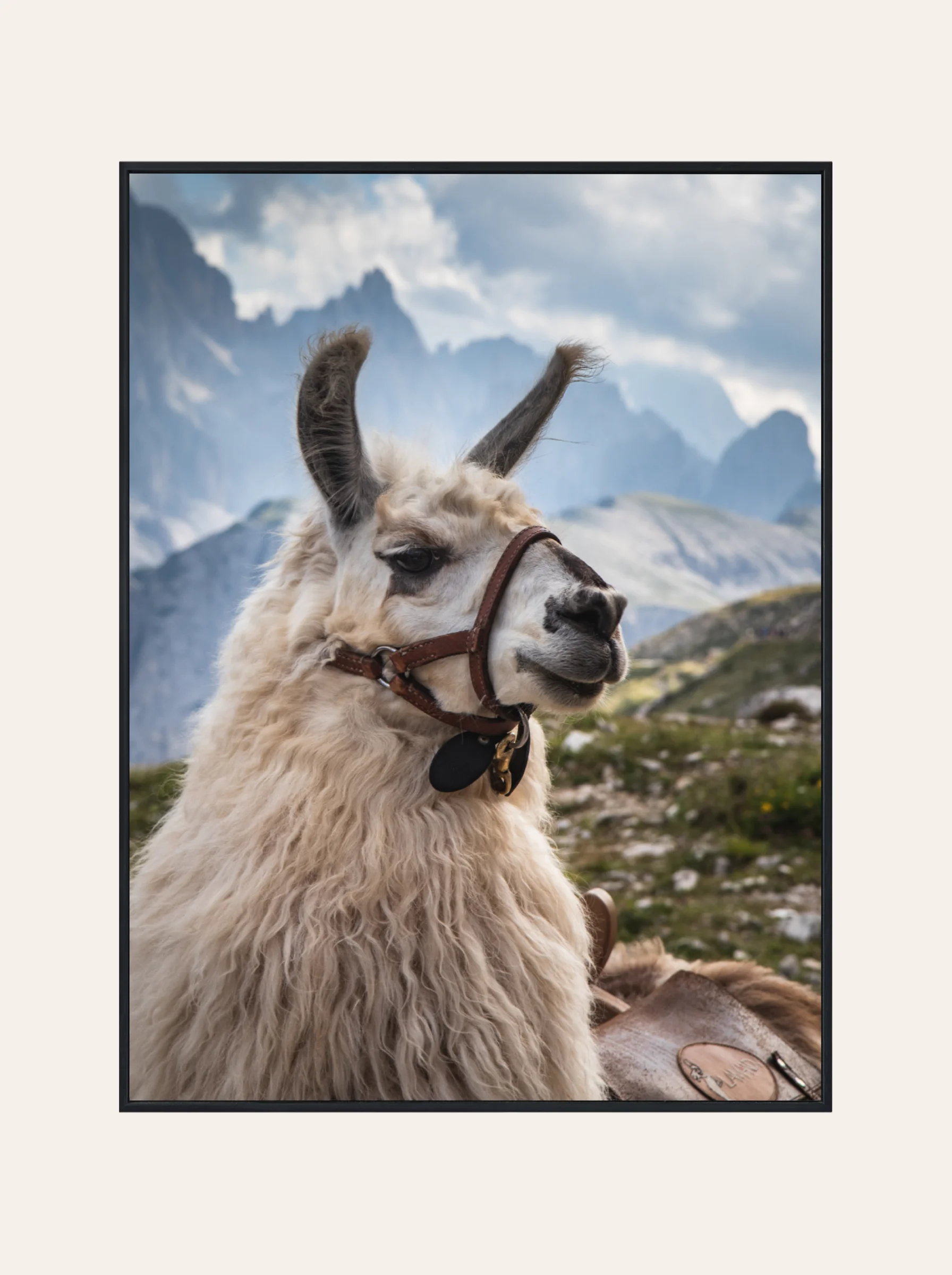 Plakat Lama Nr. 1