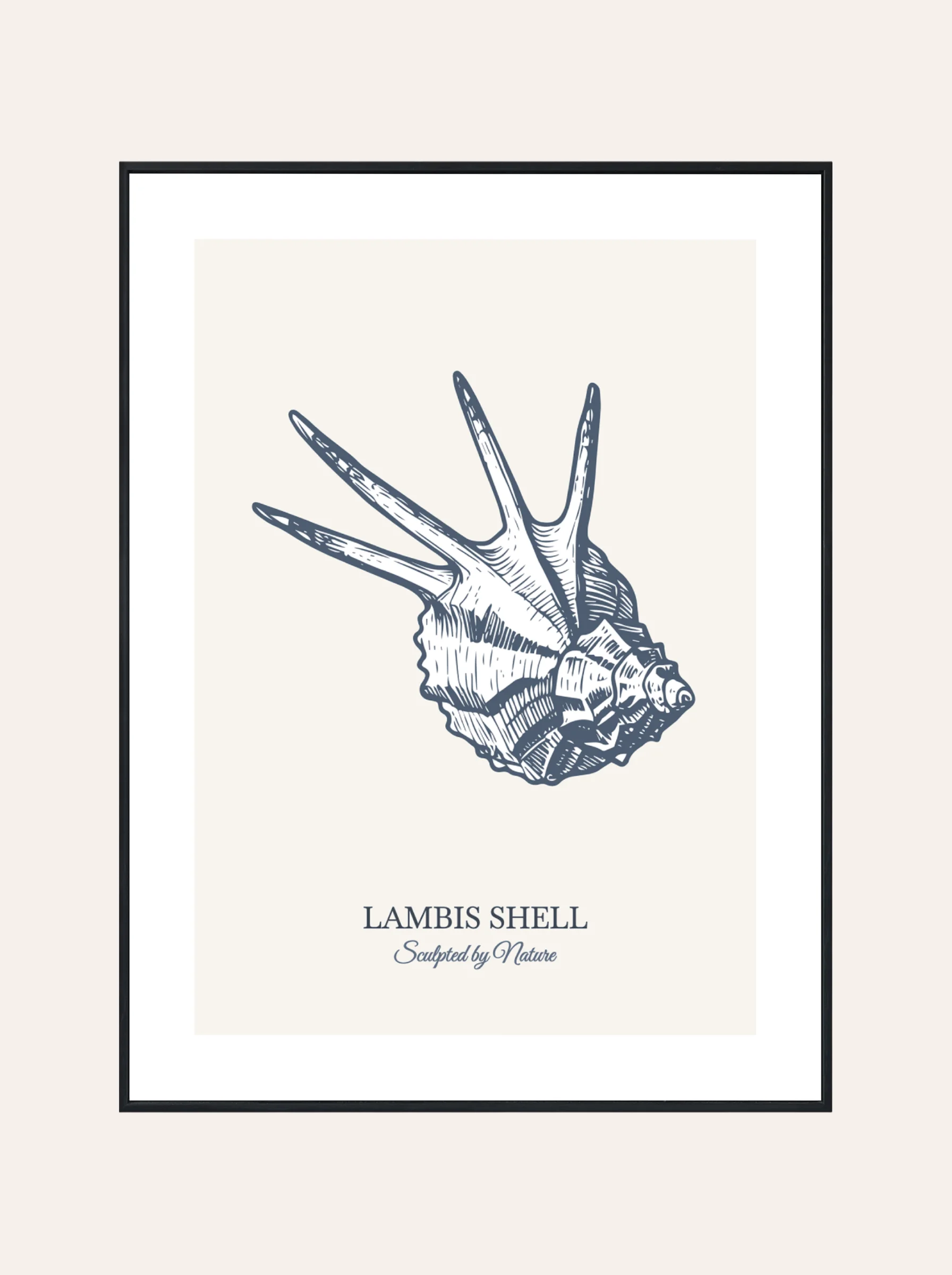 Plakat Lambis Shell Błękit