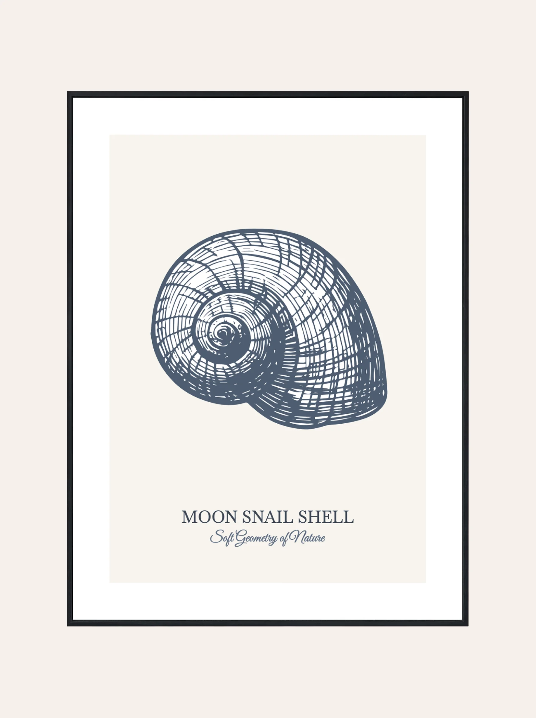 Plakat Moon Snail Shell Błękit