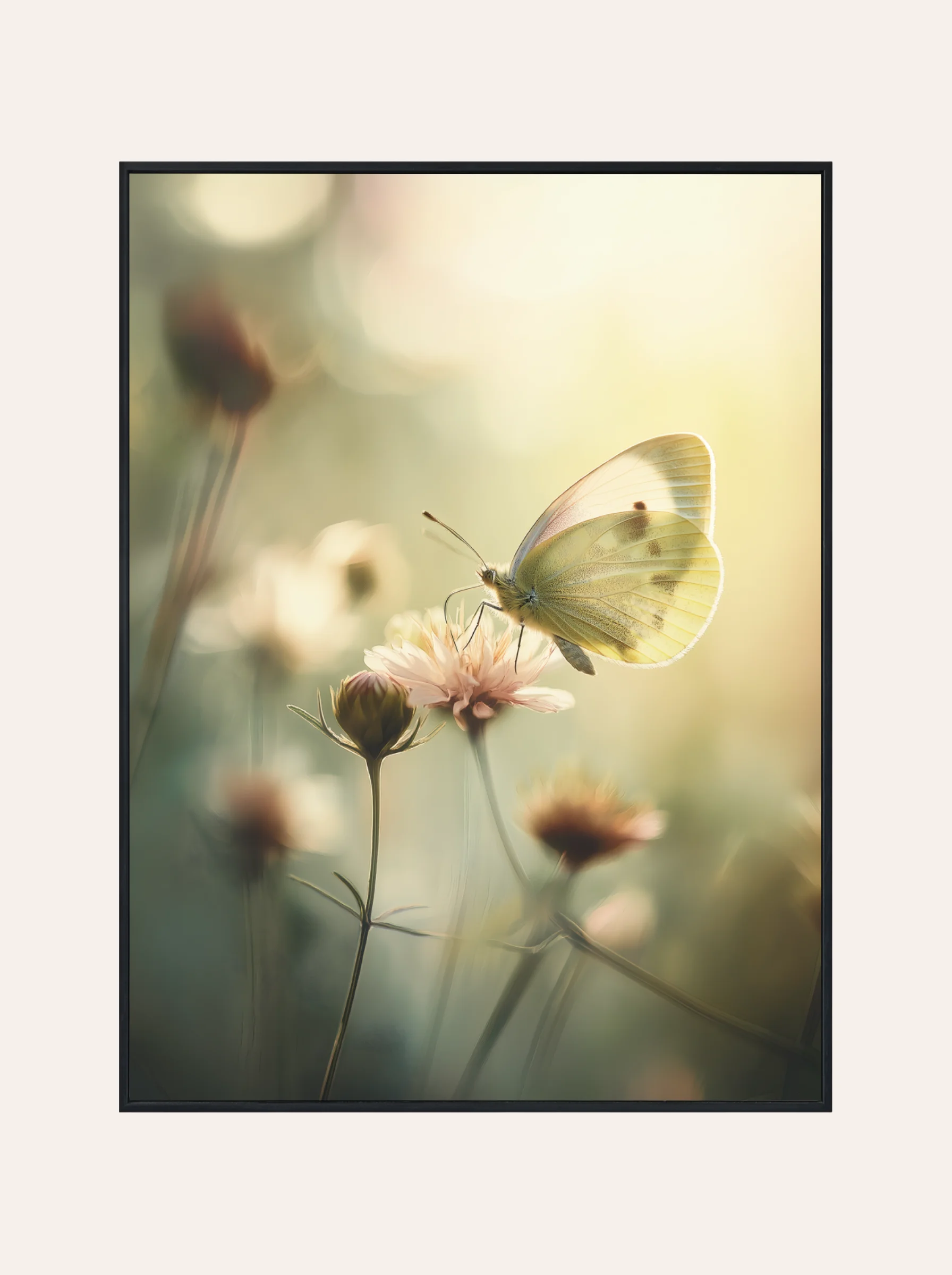 Plakat Motyl w Letnim Świetle