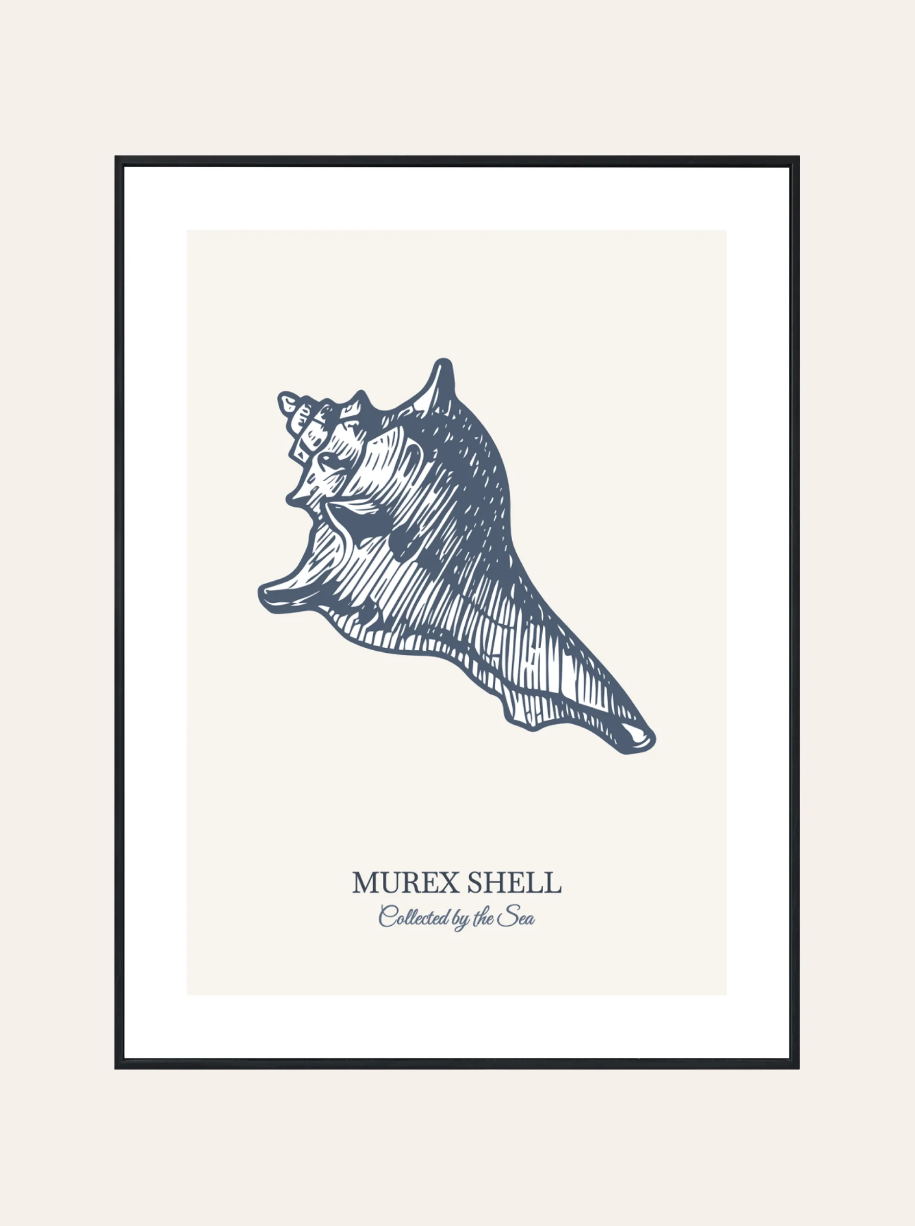 Plakat Murex Shell Błękit