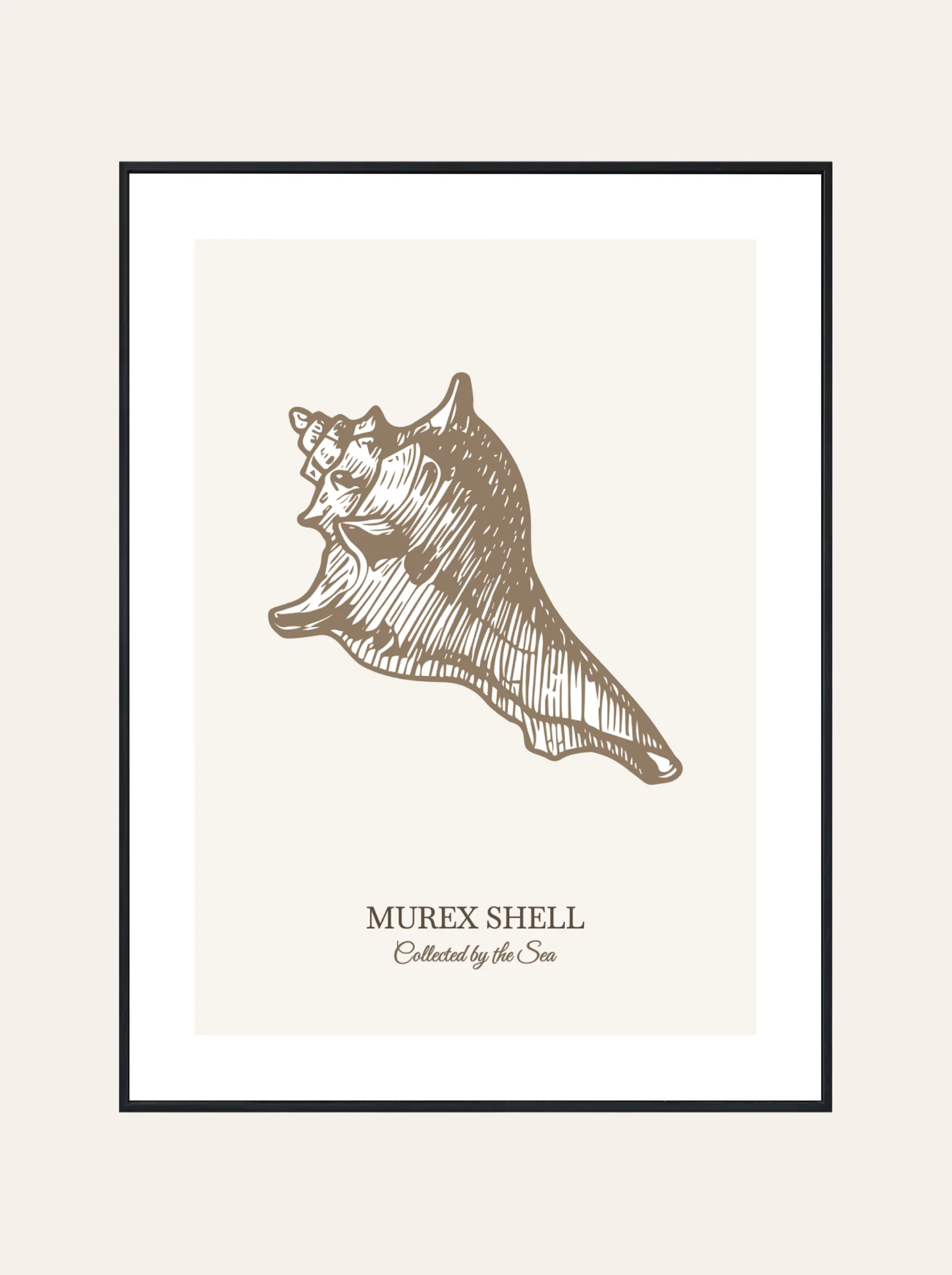 Plakat Murex Shell Brąz