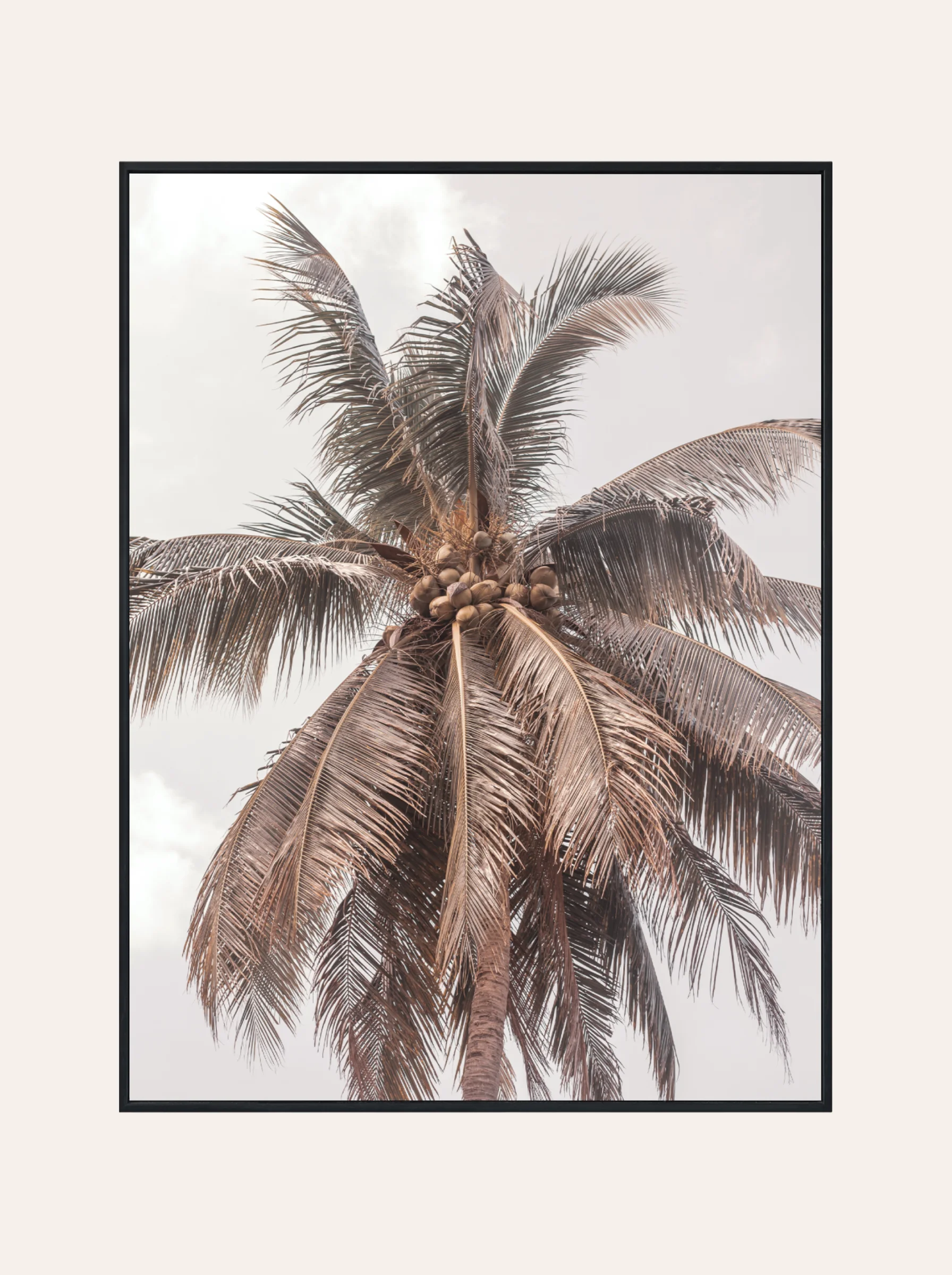 Plakat Palma Boho