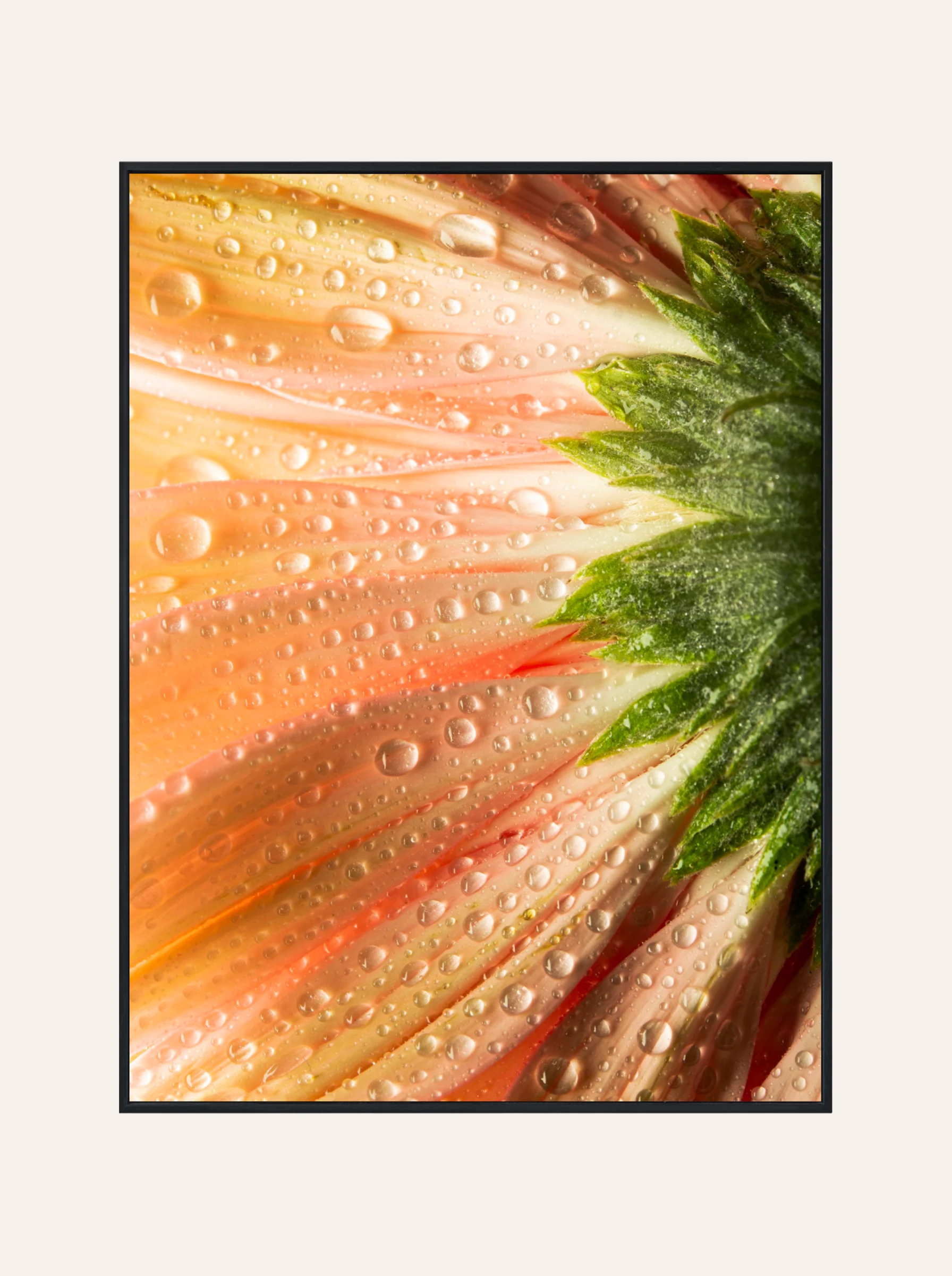 Plakat Pomarańczowy Kwiat
