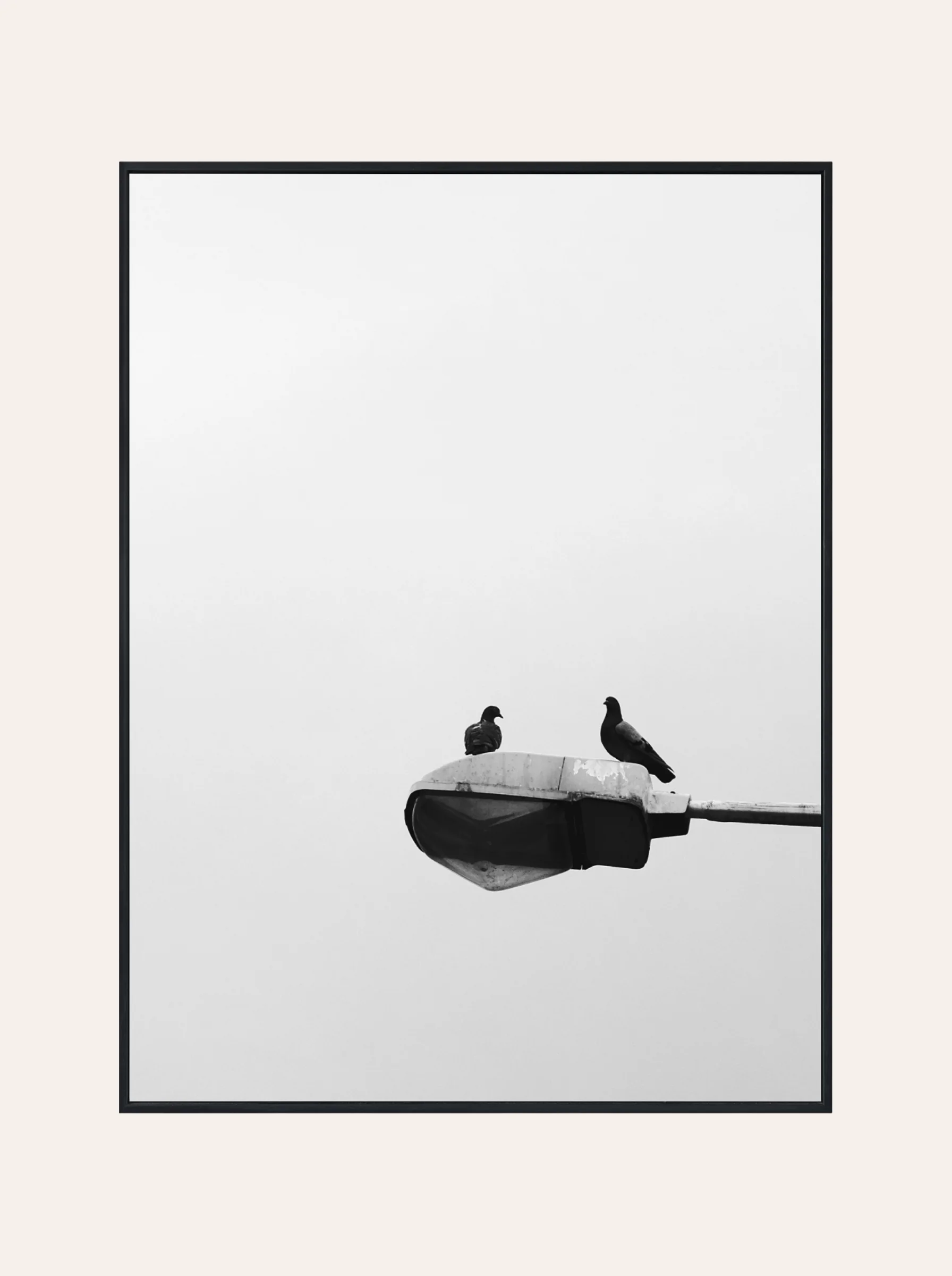 Plakat Ptaszki na Lampie