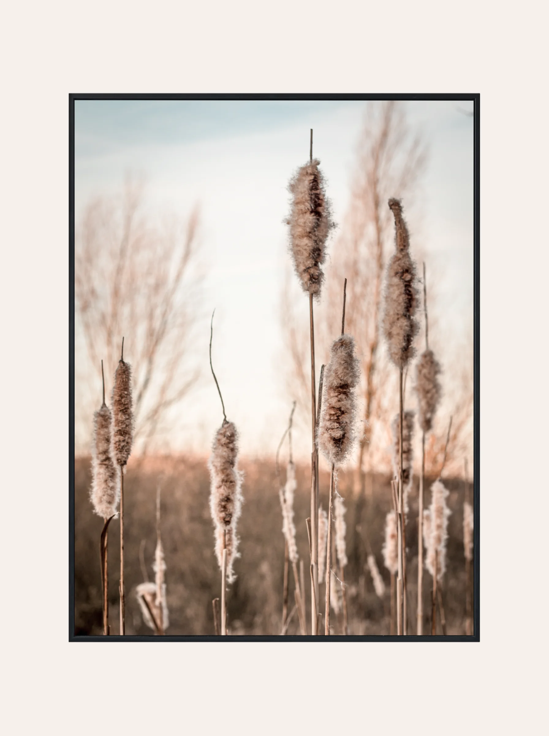Plakat Trawa Plażowa Boho Nr. 1
