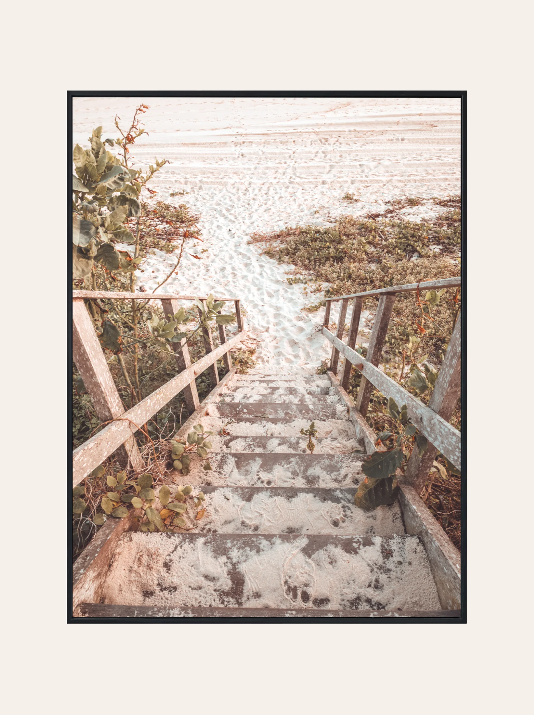 Plakat Zarośnięte Schody na Plażę