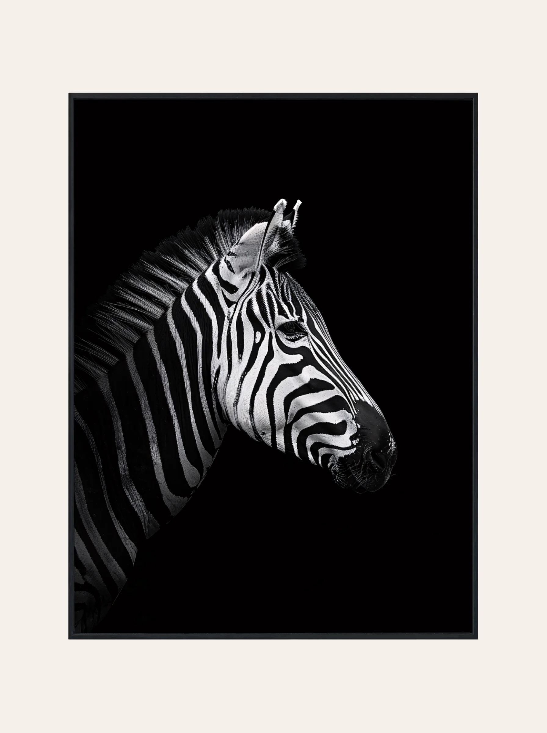 Plakat Zebra Nr. 1