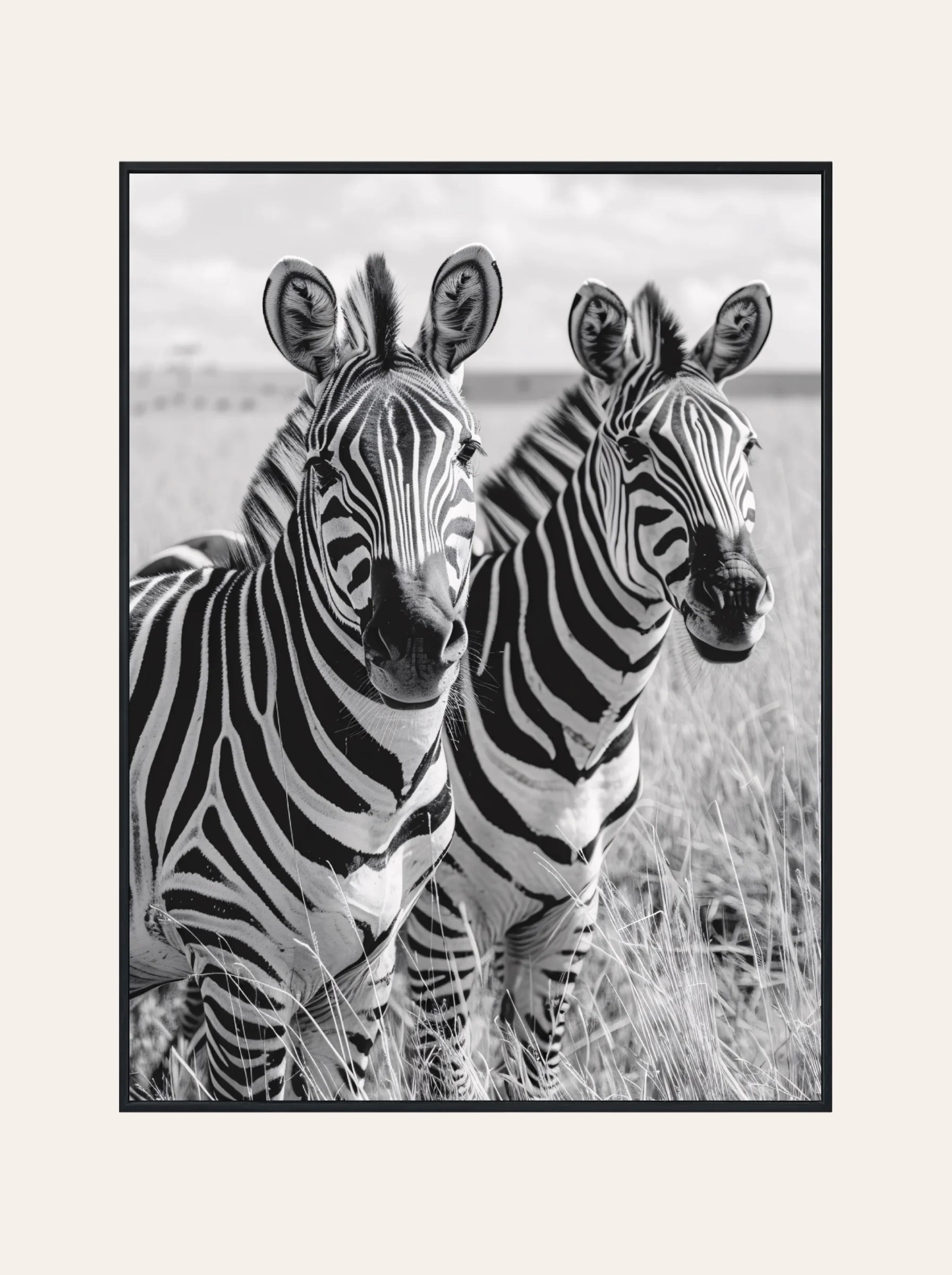 Plakat Zebra Nr. 3