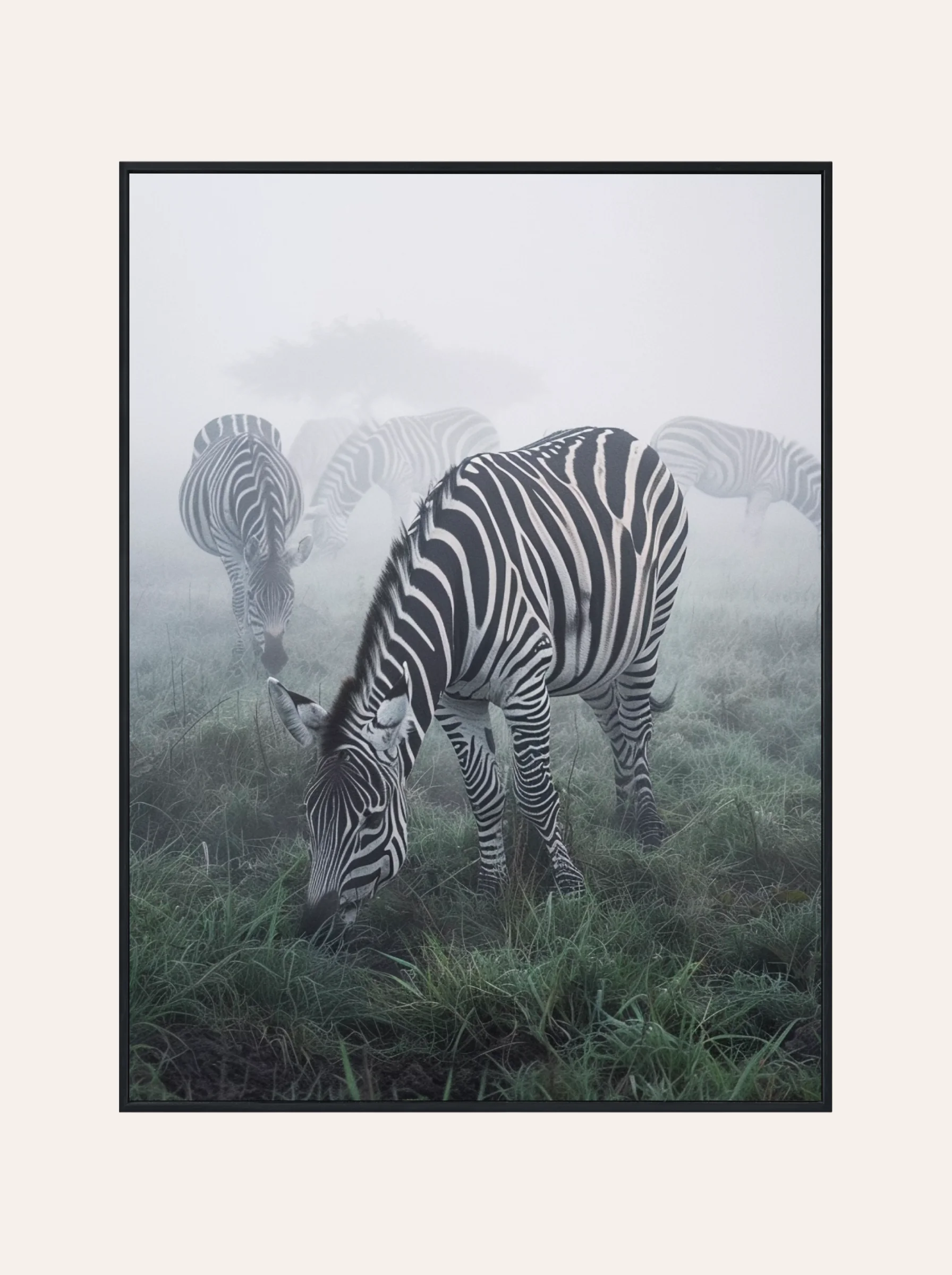 Plakat Zebra Nr. 5
