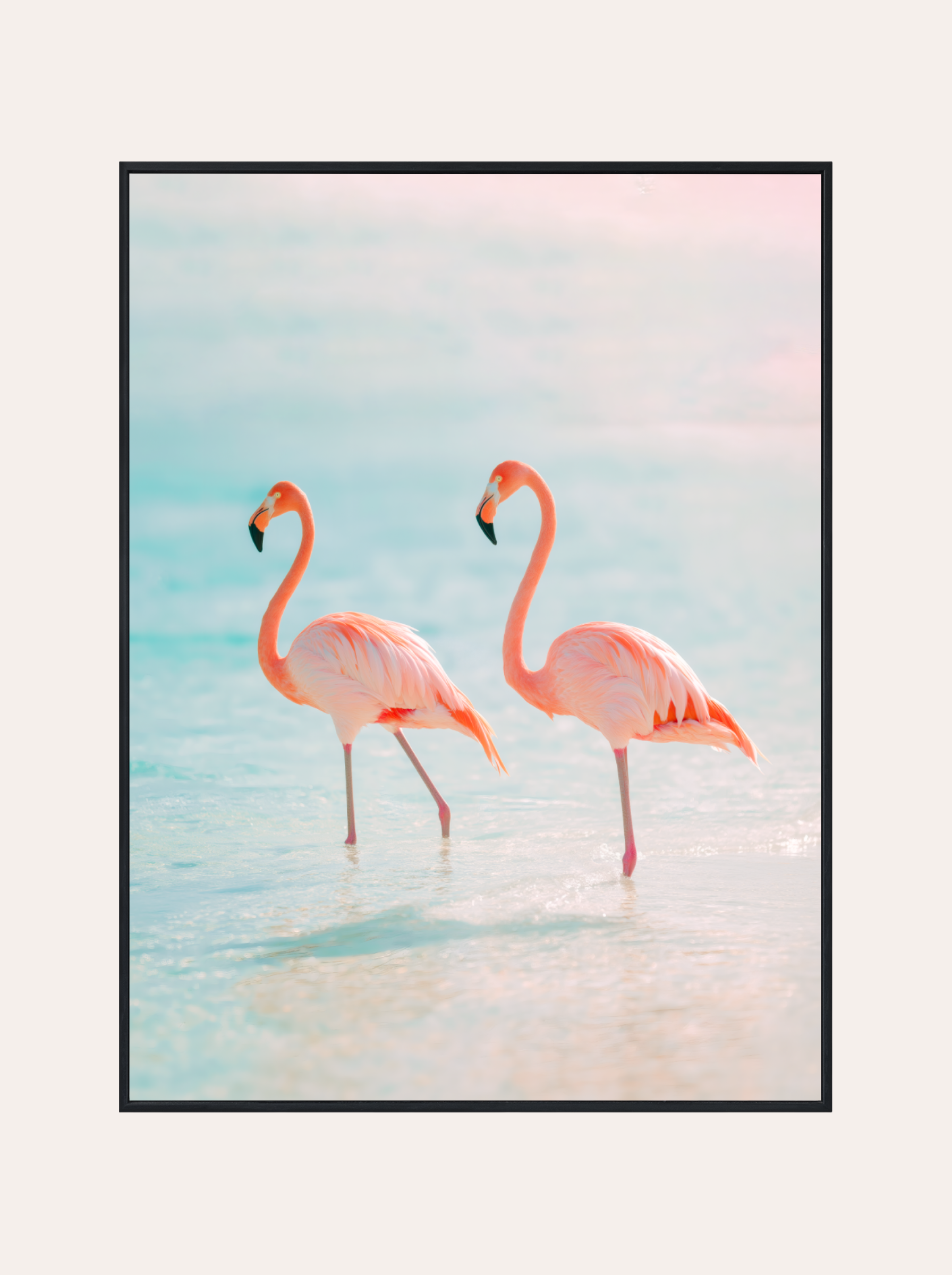 Plakat Flamingi o Poranku